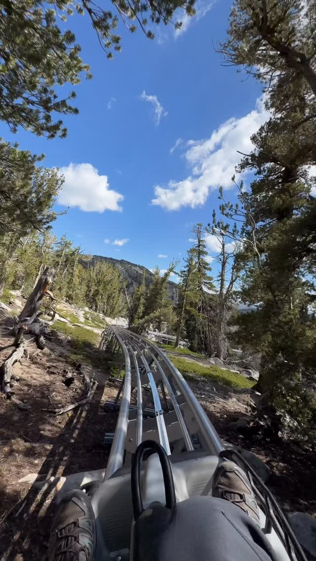 Tahoe Mountain Coaster Thrills and Views