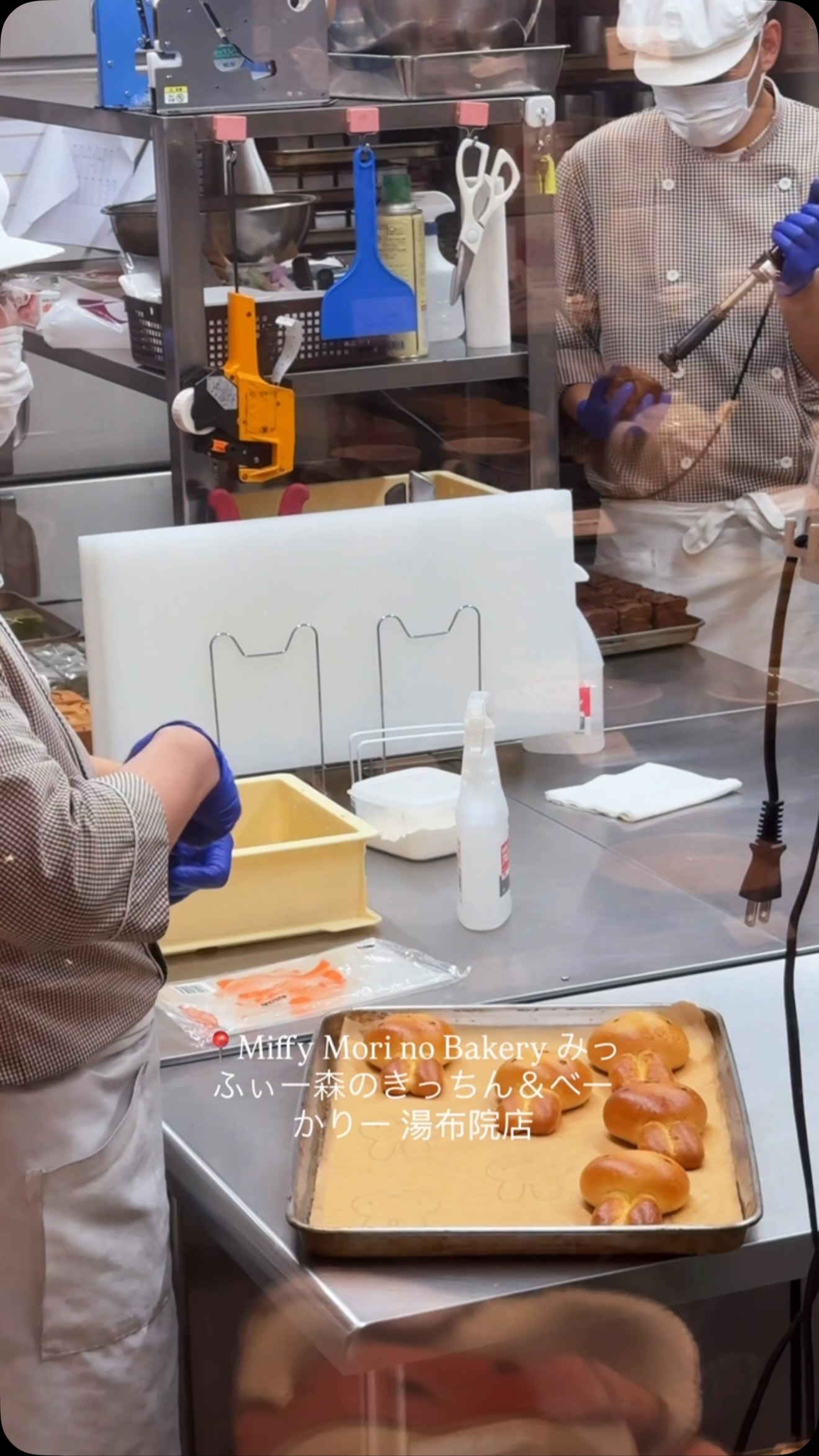Miffy Bakery Celebrates Beloved Character in Yufuin