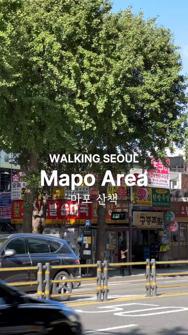 Mapo's Parks, Restaurants, and Food Alleys