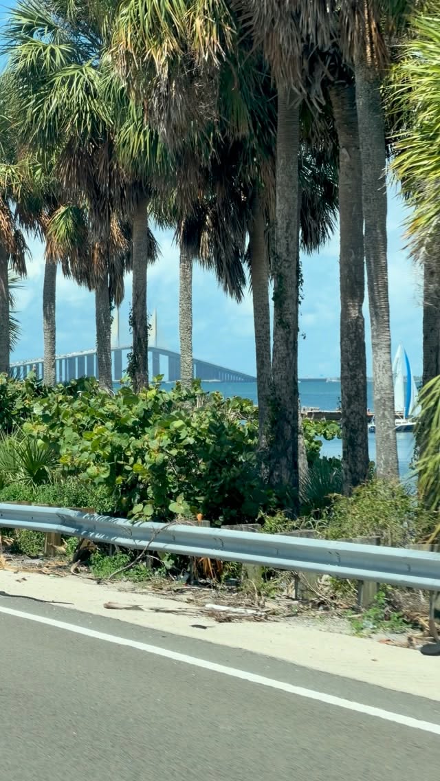 Iconic Sunshine Skyway Bridge