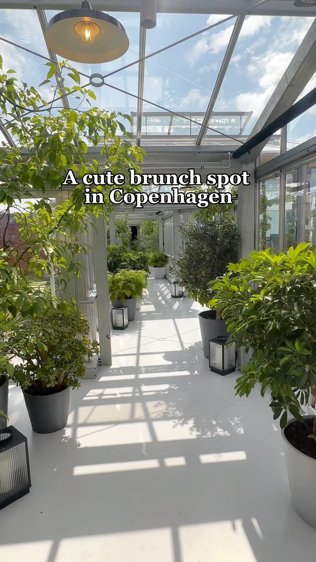 Zoku Copenhagen: A Cozy Brunch Spot