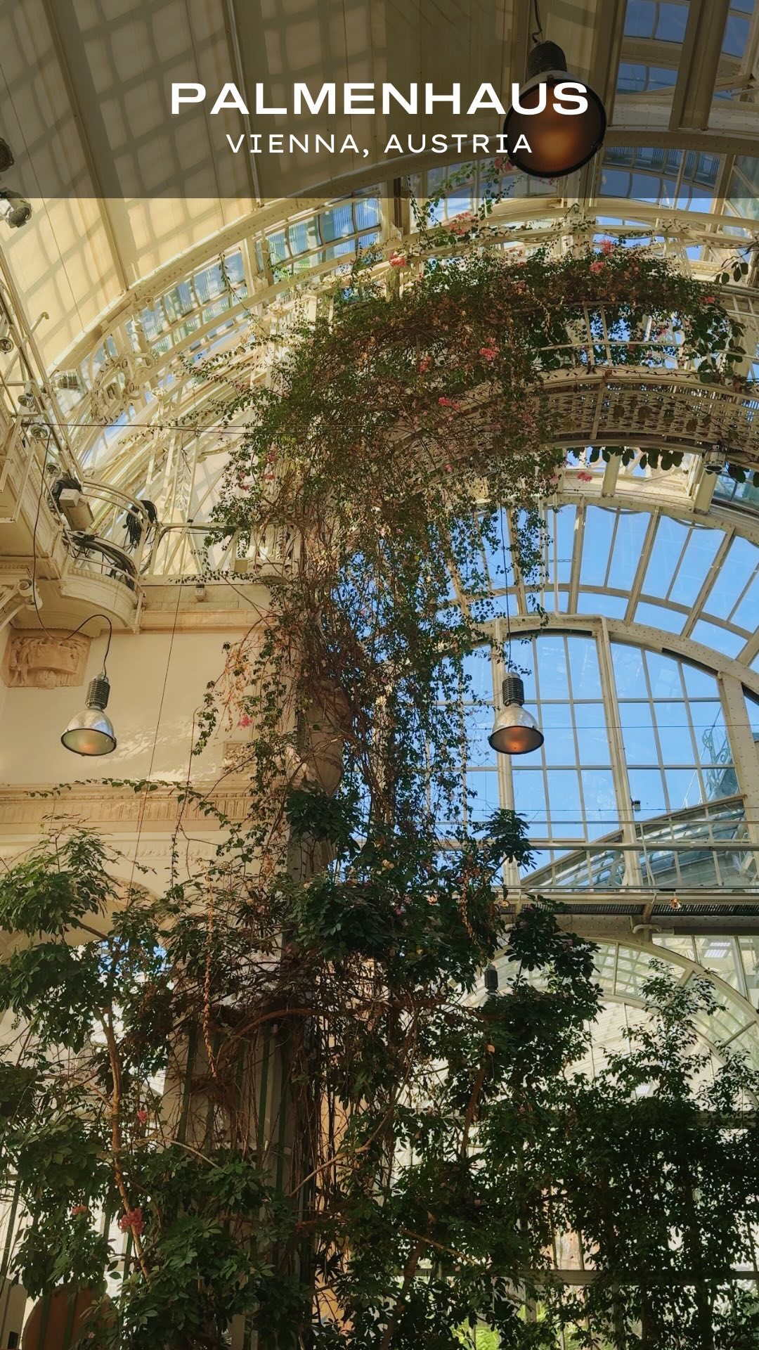 Vienna Cafes: Palmenhaus Brasserie In Burggarten
