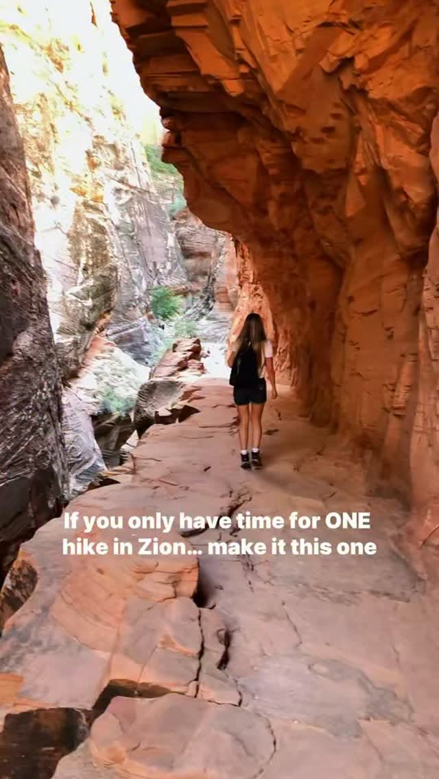 Canyon Overlook Trail Hike In Zion National Park