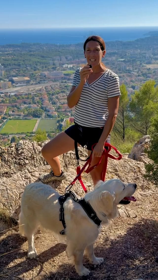 Dog-Friendly Hike Overlooking Toulon Bay