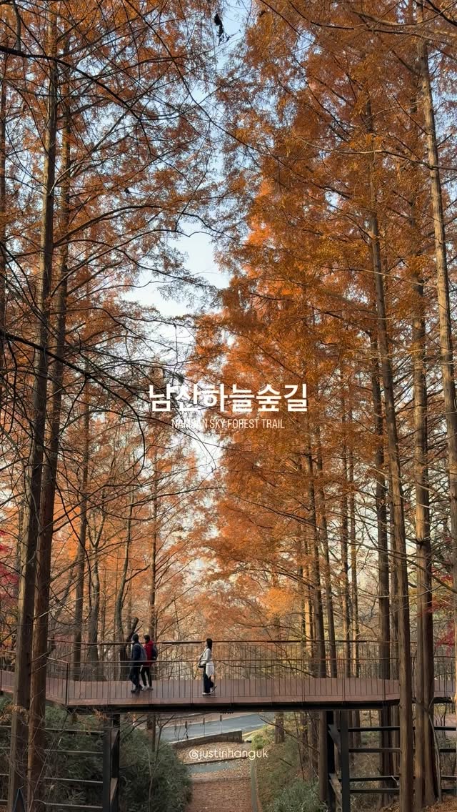 South Korea's Namsan Sky Forest Trail in Autumn