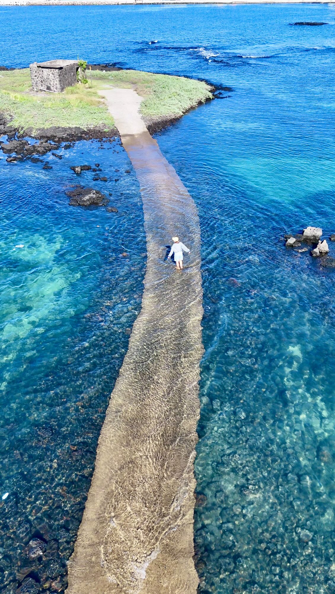 Jeju's Submerged Coastal Paths Through October