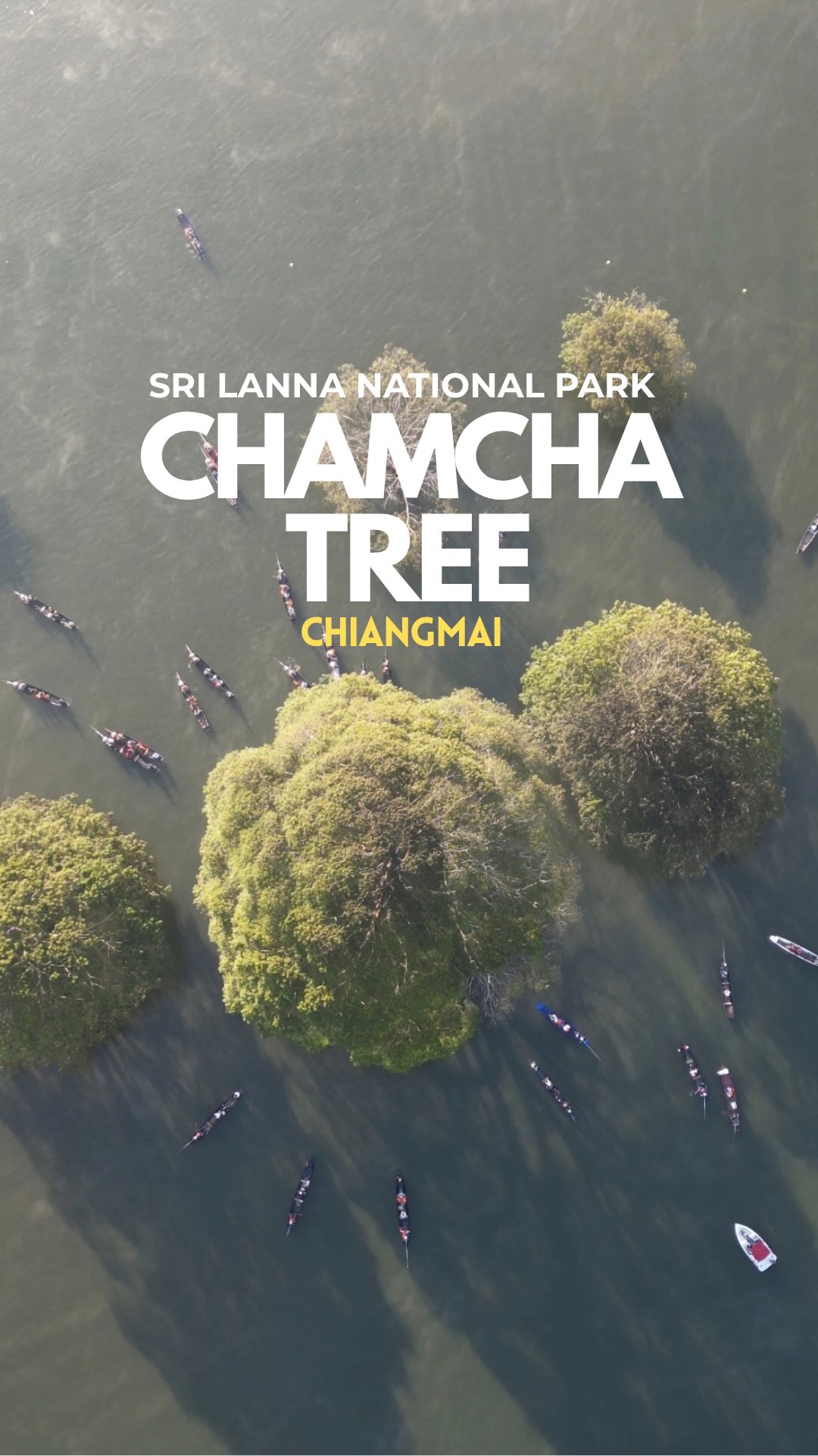 Chiang Mai National Park And Hotel Lake