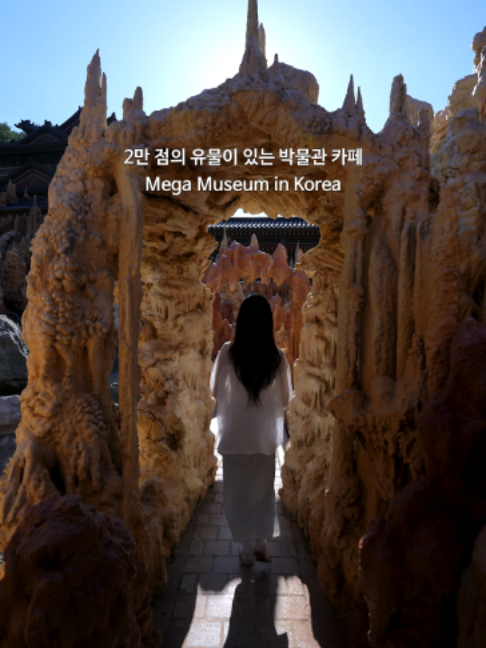 Large Museum Offers Diverse Exhibits And Cafe