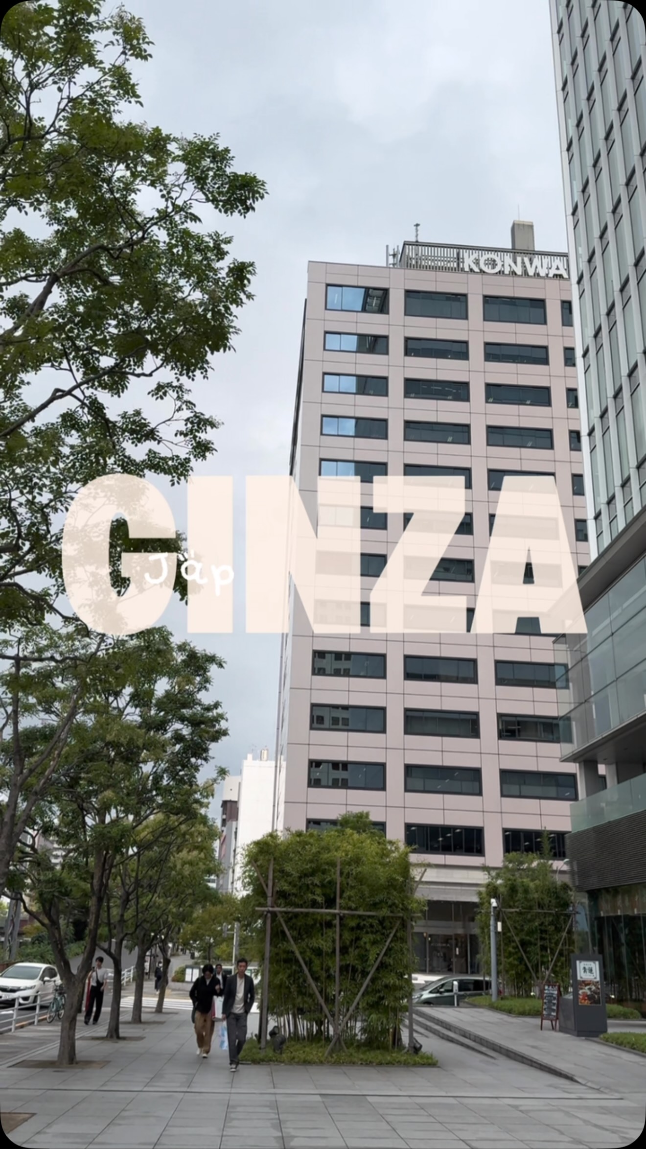 Tokyo's Ginza District: Food and Shopping Hotspots