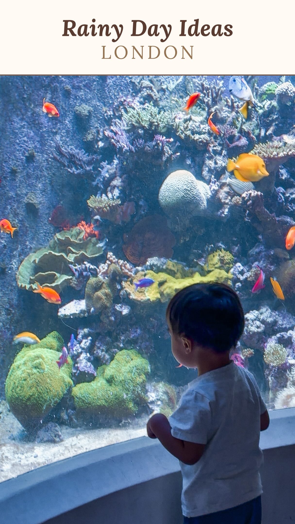 London Museums For Toddler Adventures