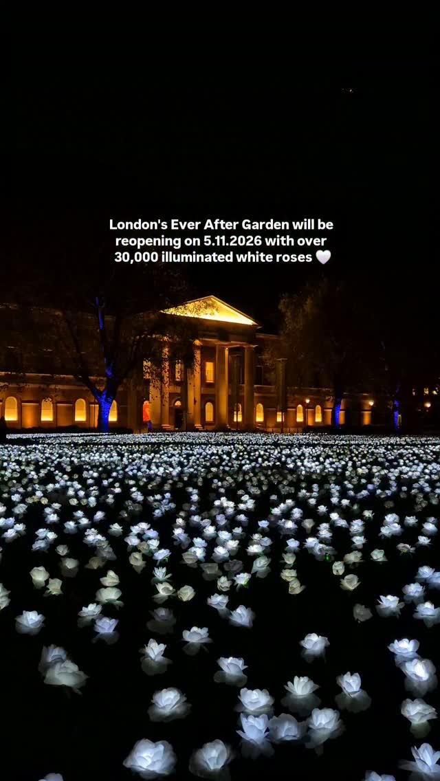 Ever After Garden Lights Up Duke of York Square