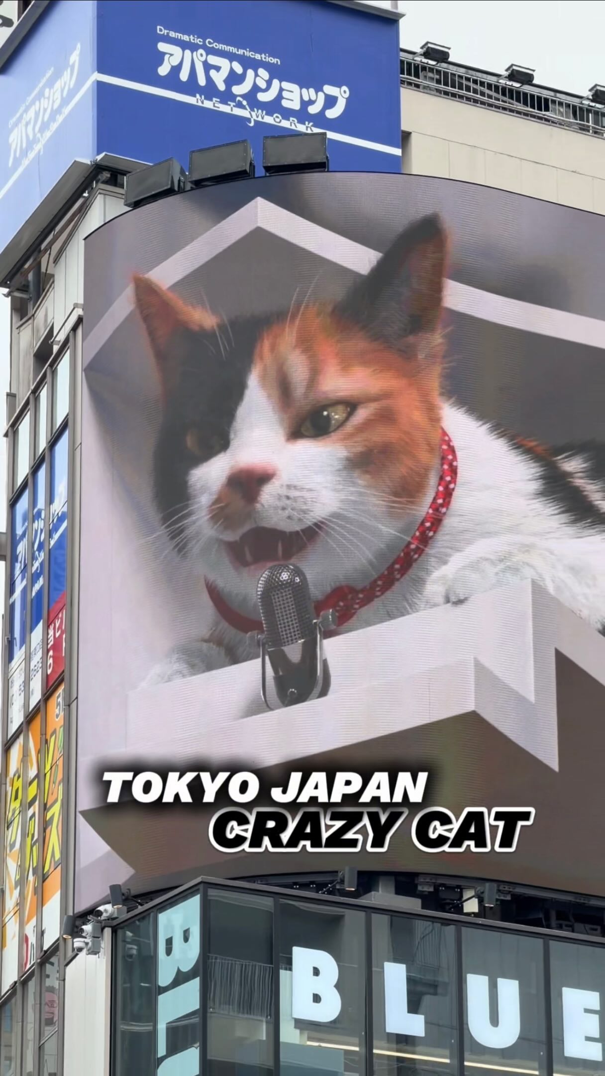 Giant Billboard Cat Ad in Tokyo