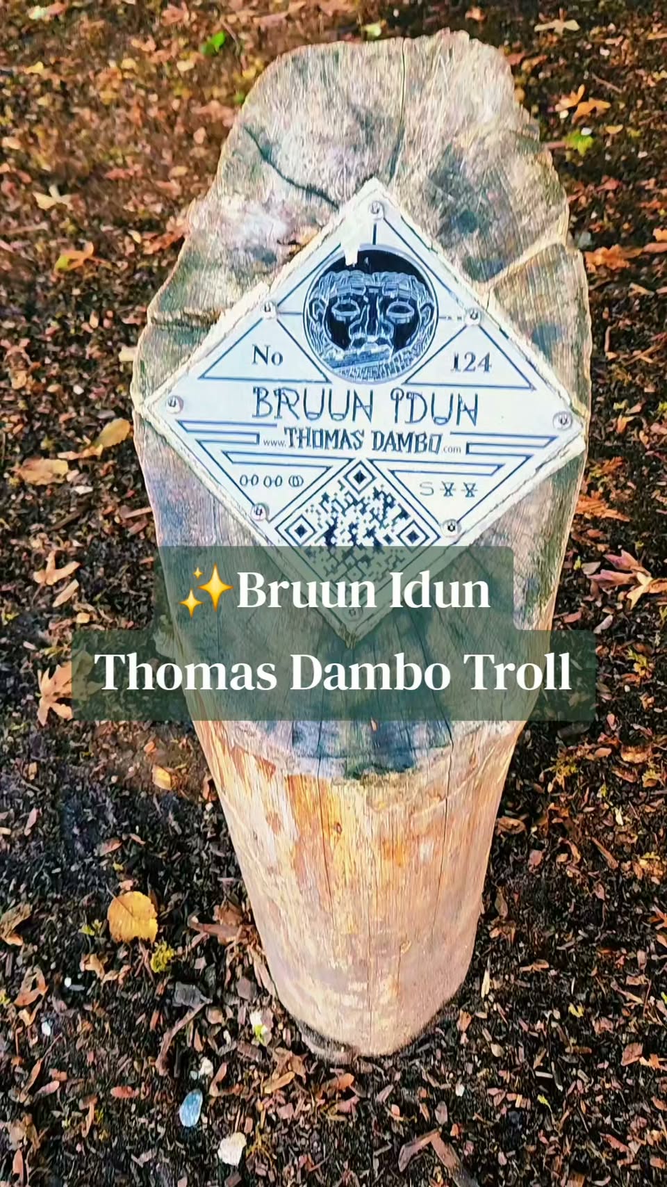 Lincoln Park Trolls and Community Art Installations