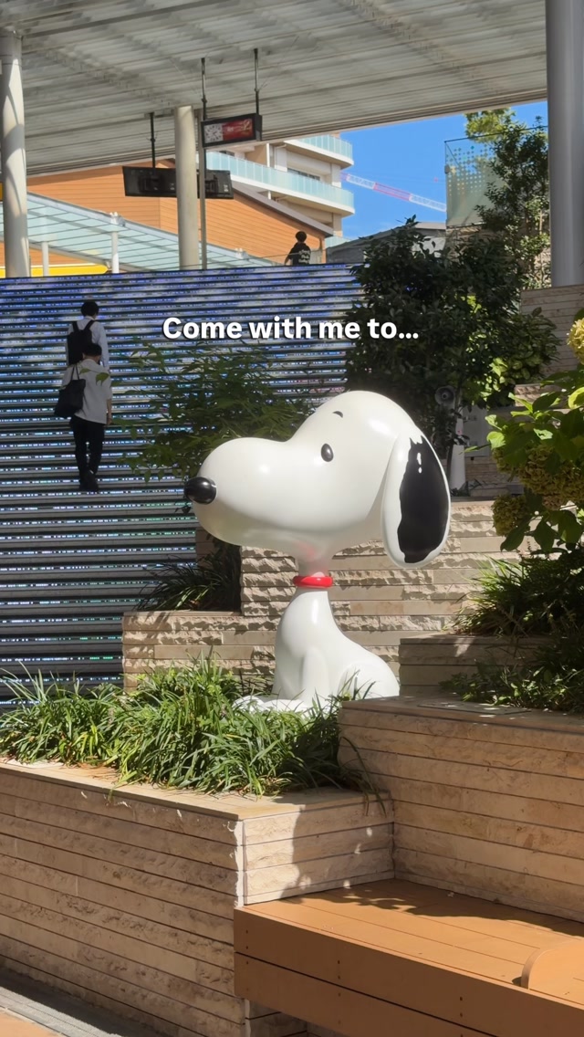 Snoopy Museum Tokyo and Grandberry Park Attraction