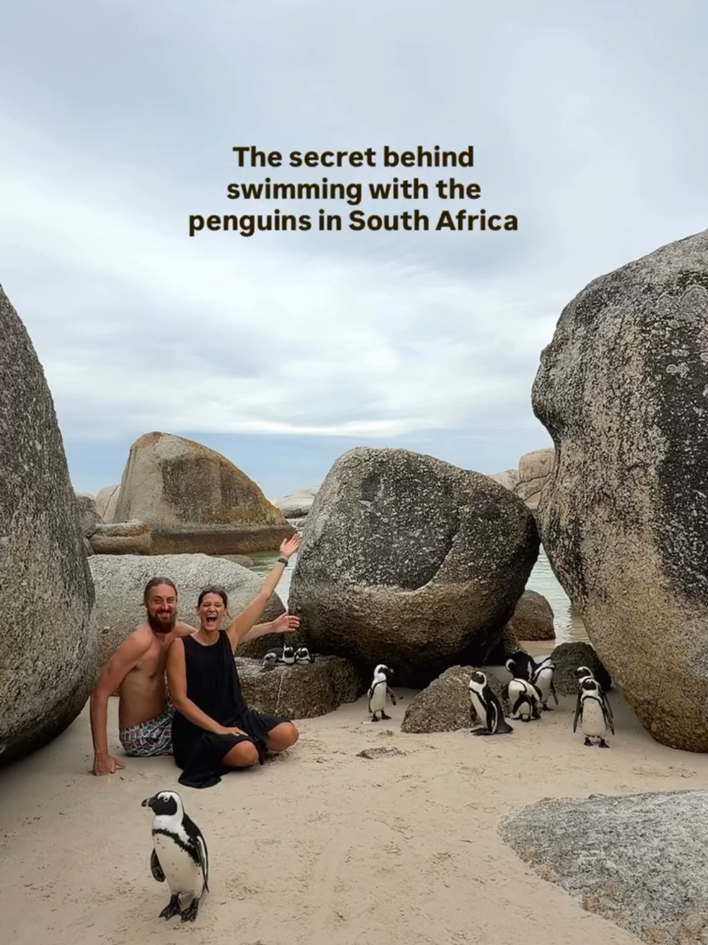 Swim With Penguins At Boulders Beach