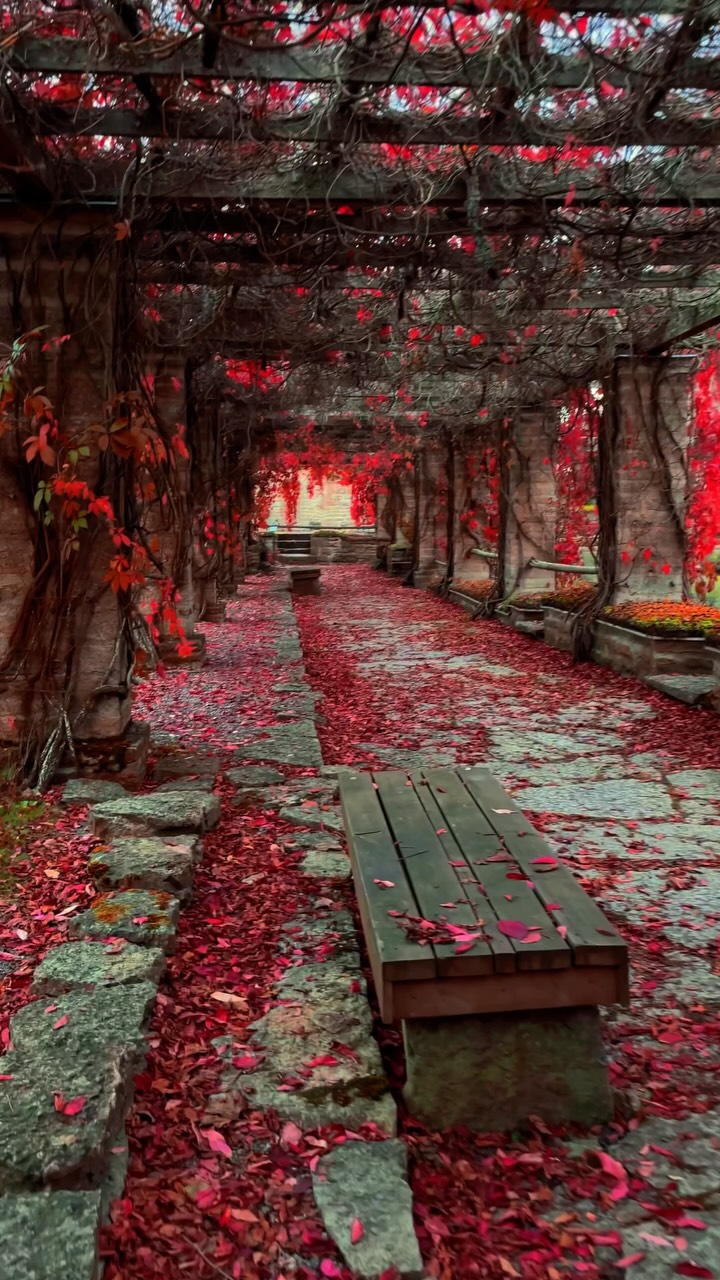 Vreta Kloster's Autumn Beauty And Museum