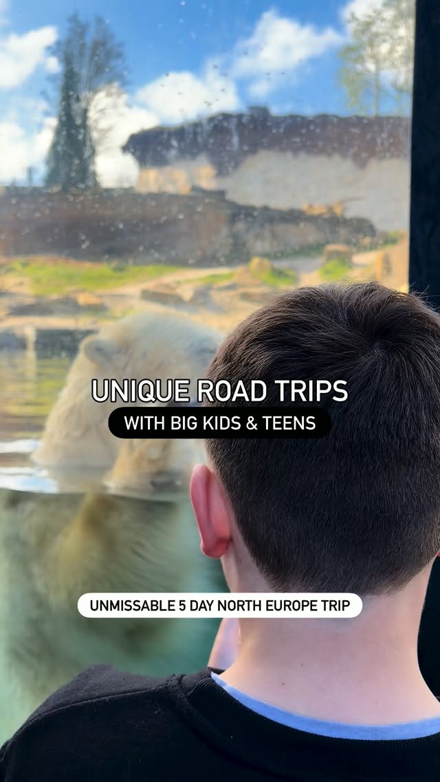 Family Road Trip Through Belgium, Netherlands, Germany