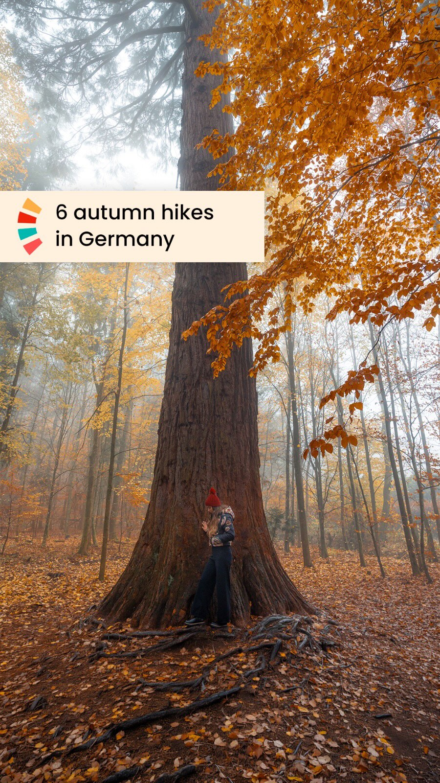 Six Autumn Hiking Trails in Germany