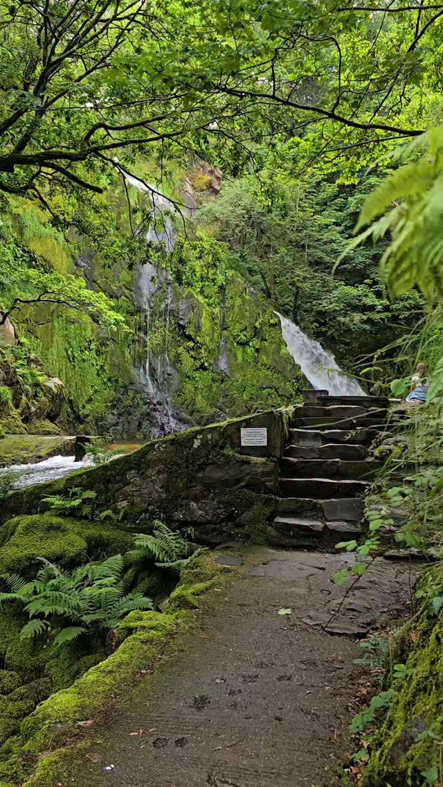 Waterfalls and Rainforests of Eryri National Park