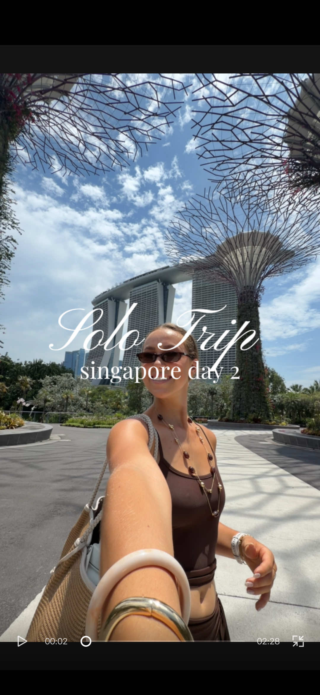Singapore Solo Travel: Attractions, Food, and Night Shows