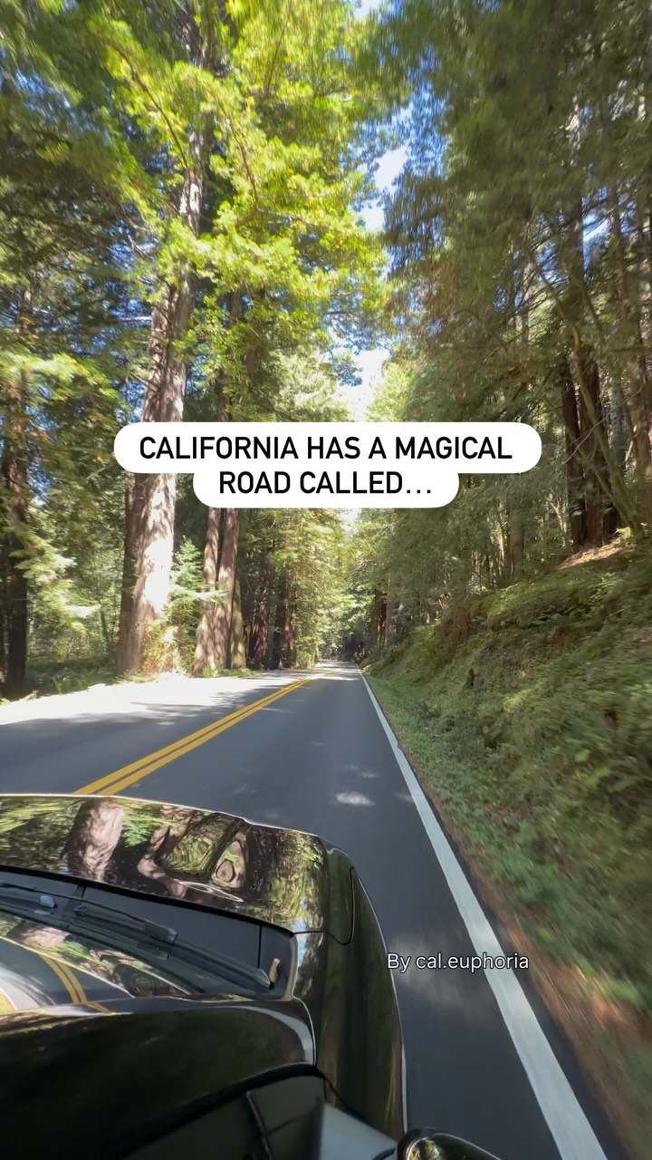 Highway 128: Tunnel to the Sea Road Trip