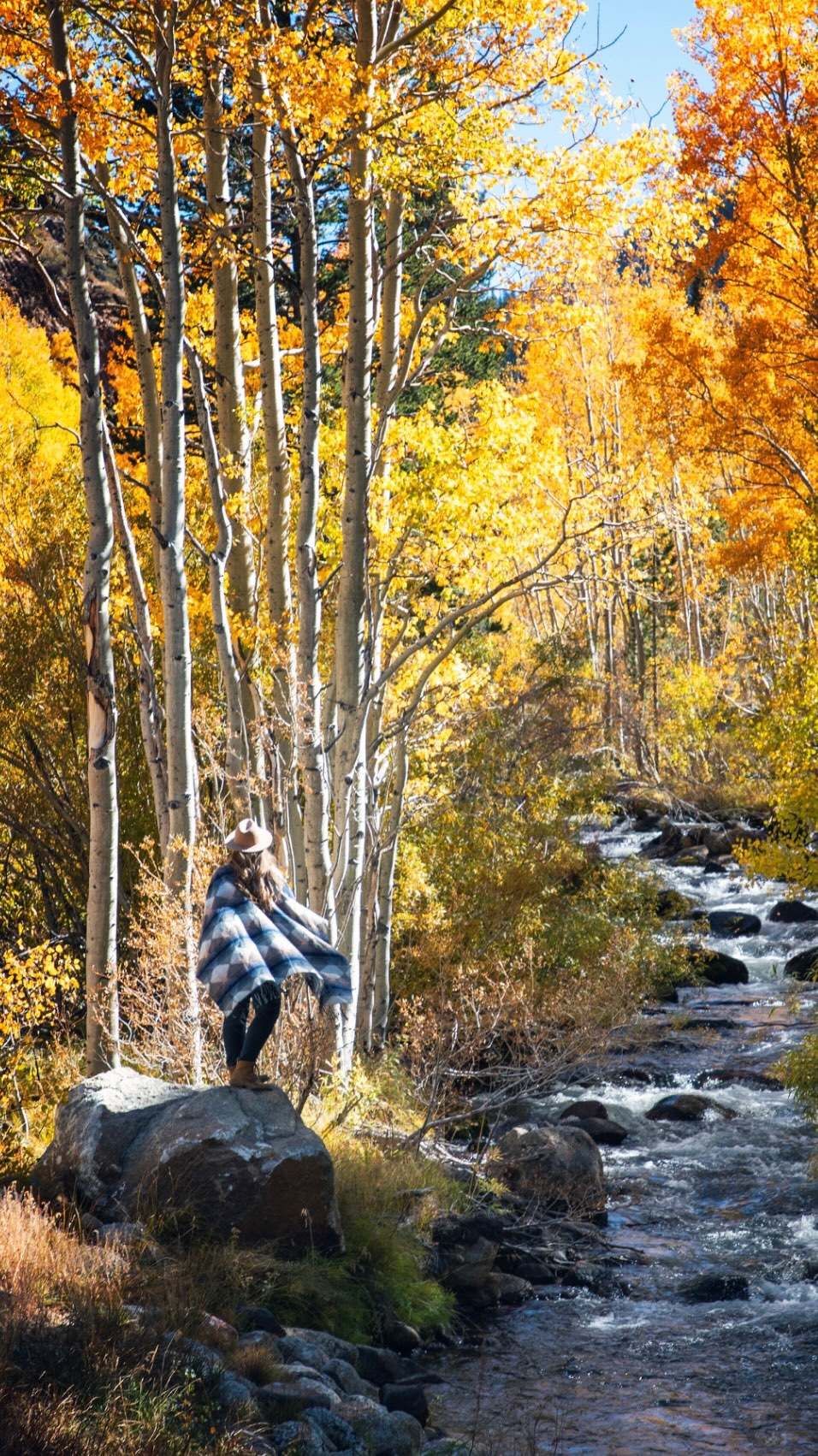 Eastern Sierra Fall Colors Among Lakes and Creeks