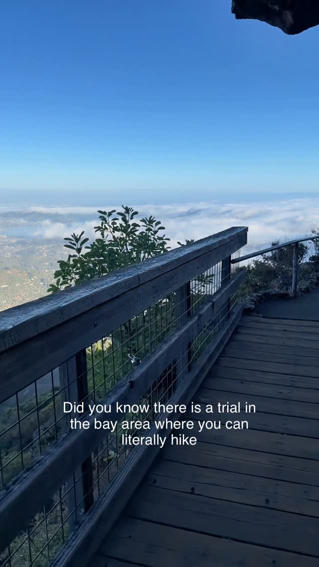 Mount Tamalpais Verna Dunshee Trail Views