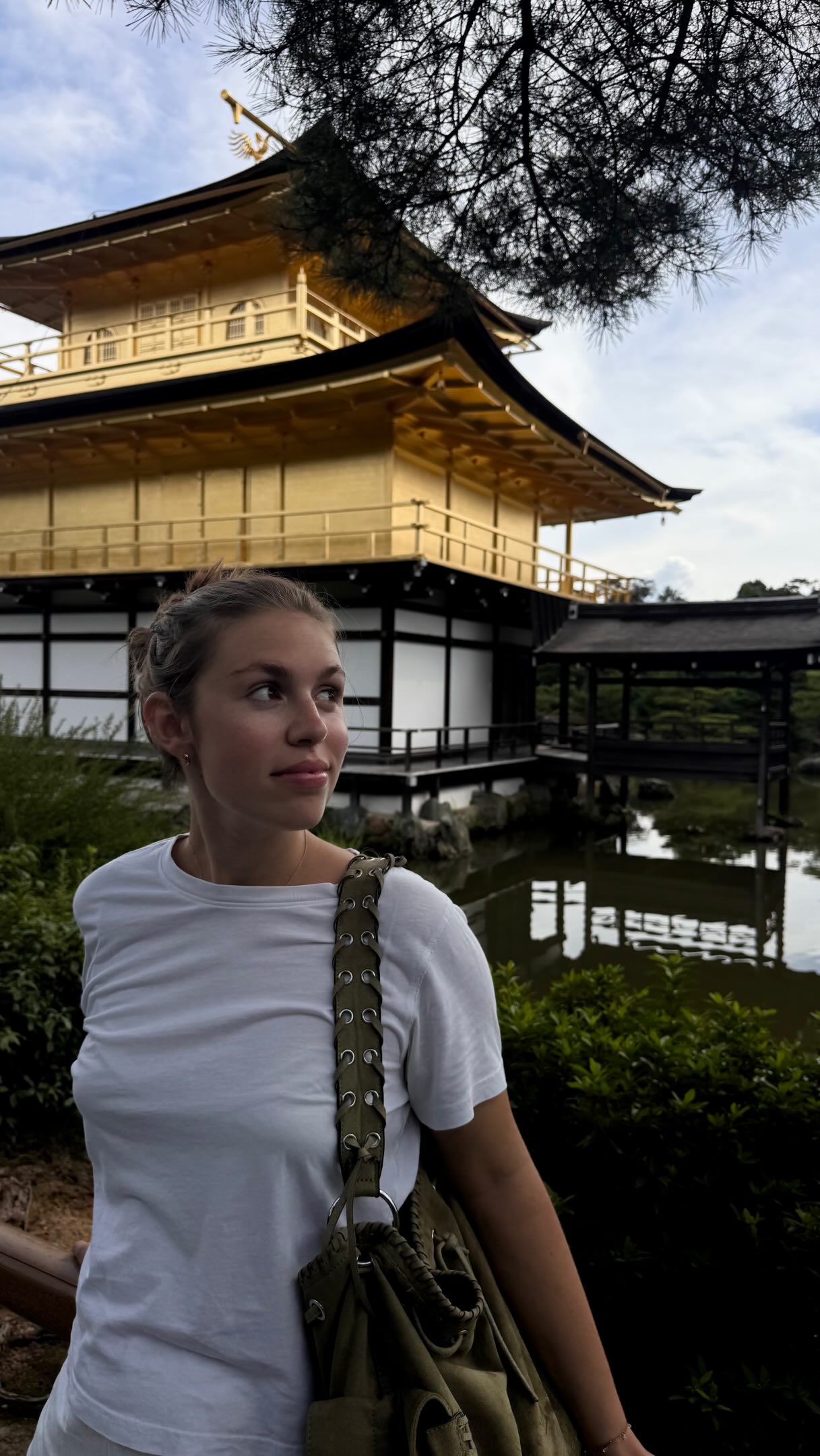 Kyoto's Golden Temple, Gardens, and Michelin Dining