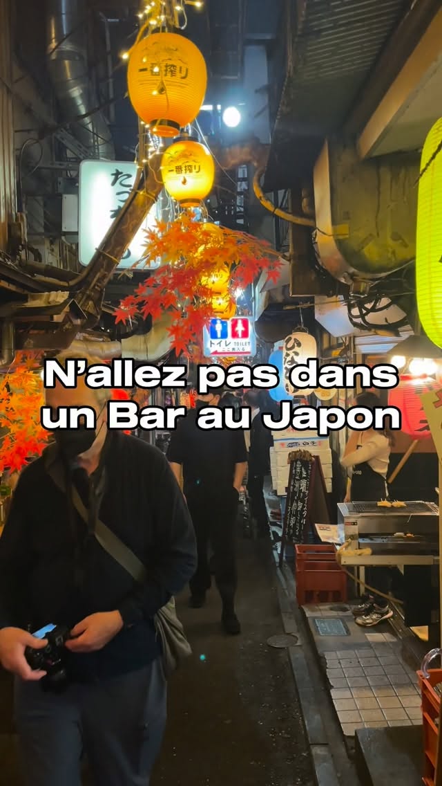 Iconic Japanese Landmarks and Izakaya Experiences