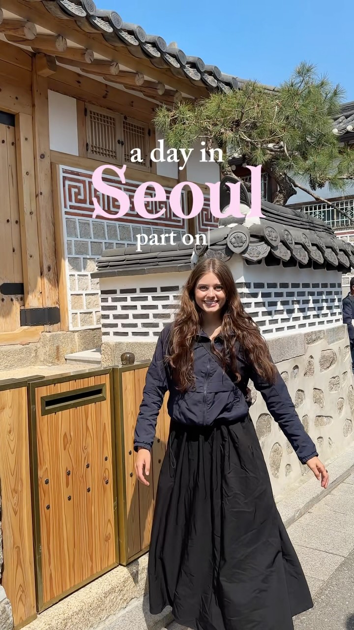 Seoul Exploration: Palaces, Villages, and Local Flavors