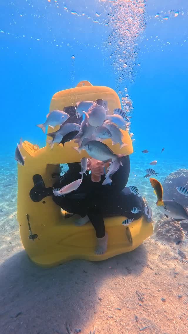 Okinawa Attractions Featuring Underwater Scooter Adventures