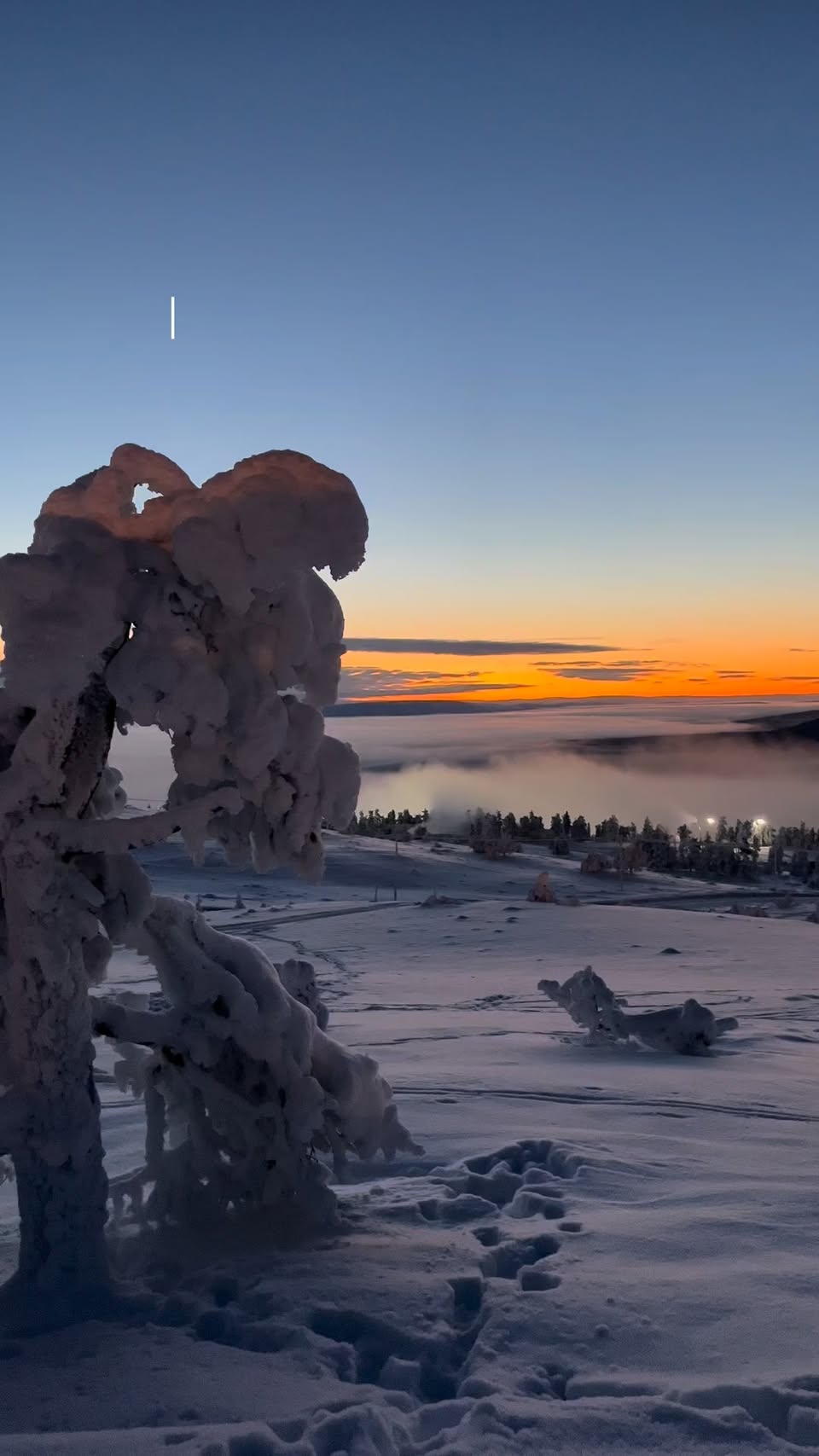 Levi Reindeer Farm And Northern Lights Itinerary