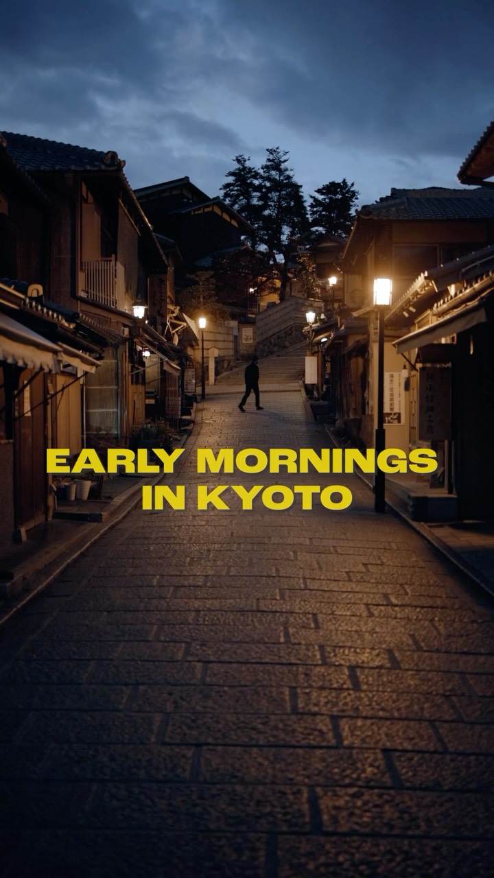 Kyoto Temples and Monkey Parks