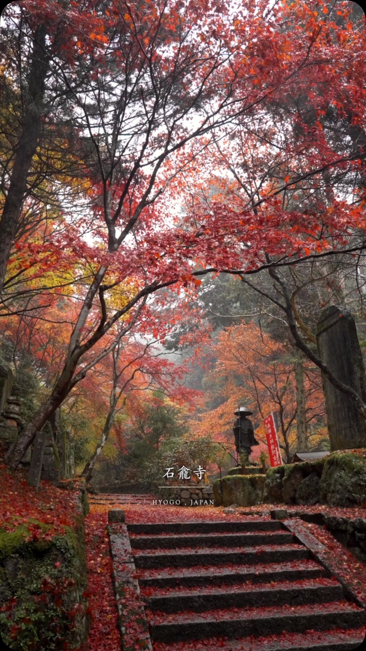 Sekiganji Temple Autumn Foliage in Hyogo