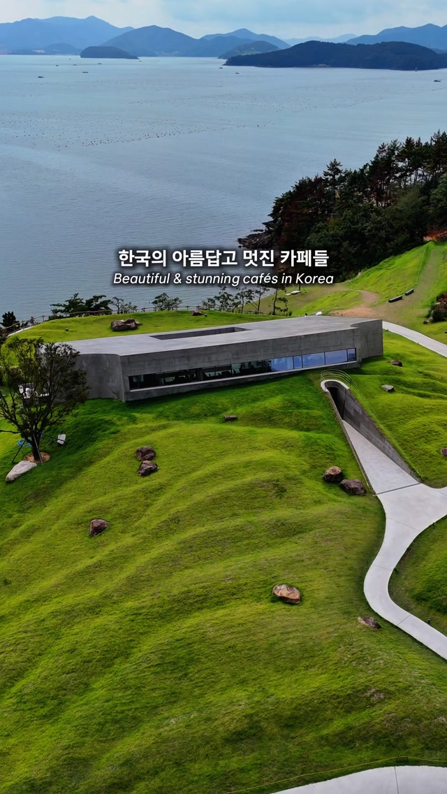 South Korean Cafes, Restaurants, and Unique Spots