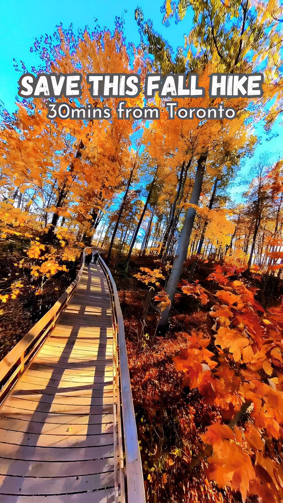 Fall Hues At Rattray Marsh Conservation Area