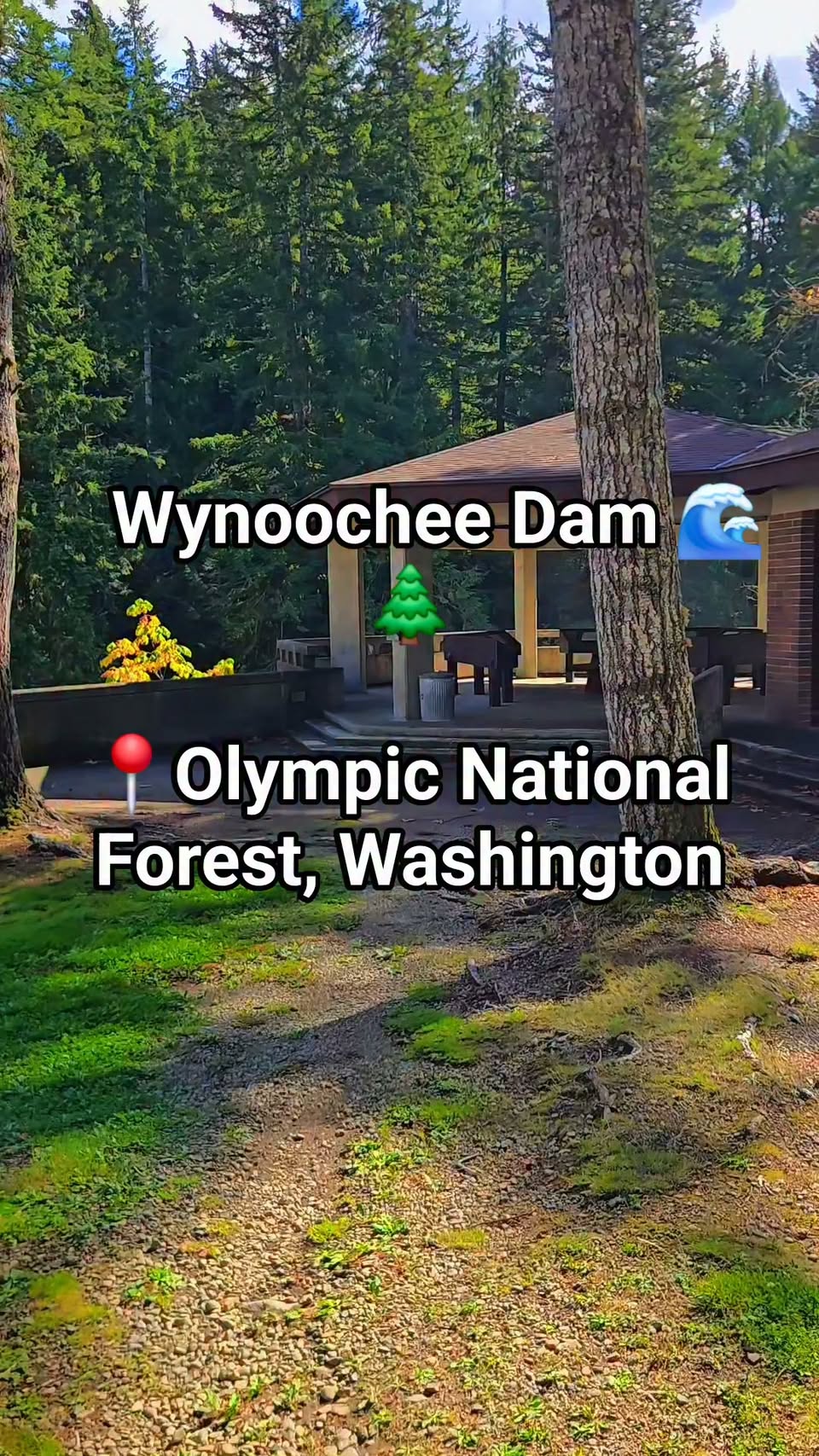 Olympic National Forest Scenic Road Trip
