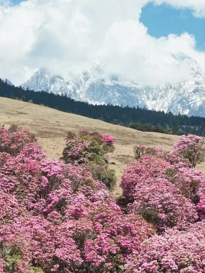 Shangri-La Yunnan's Natural Wonders and Hiking Trails