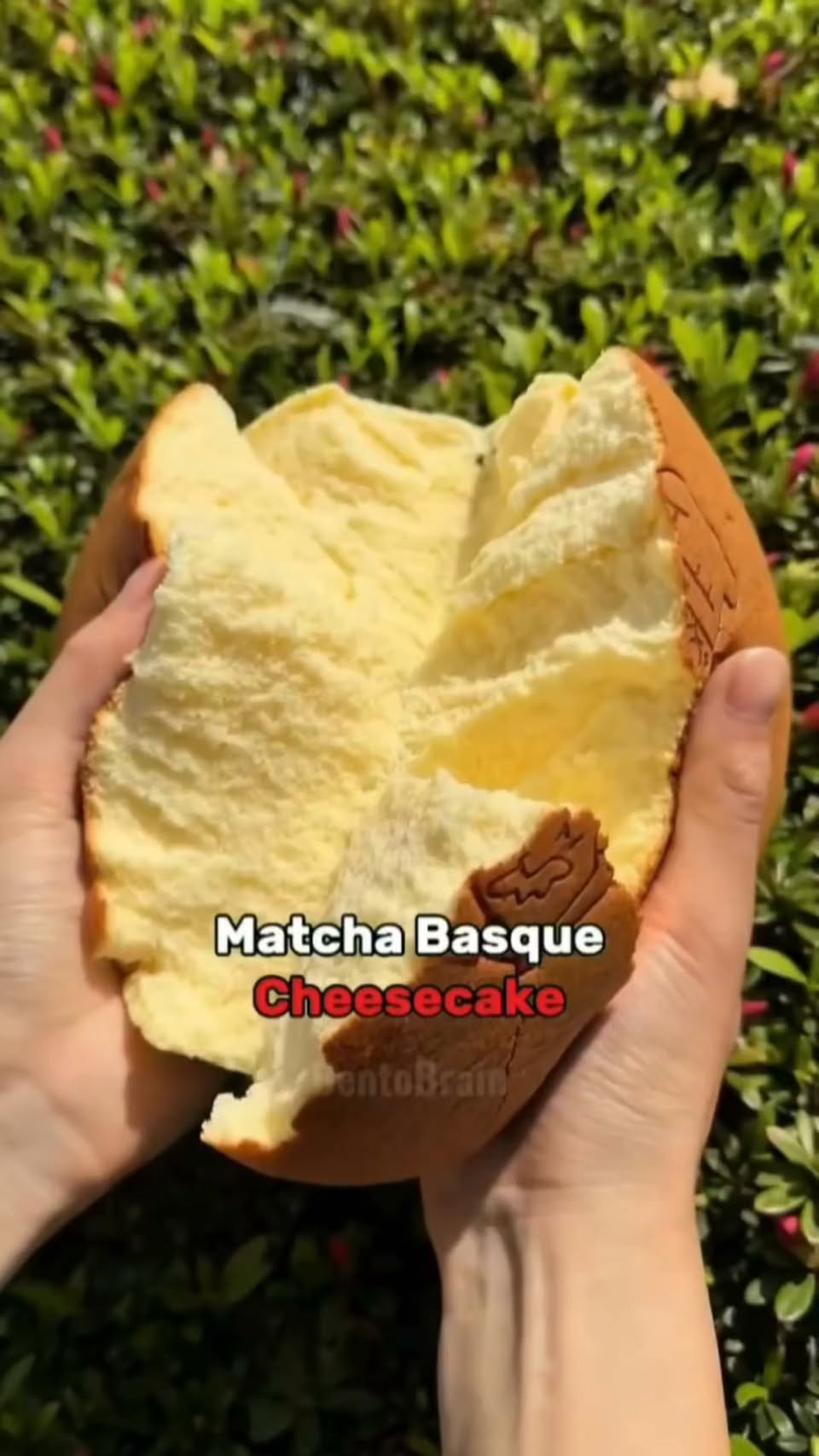 Japanese Dessert Destinations Known For Visual Appeal
