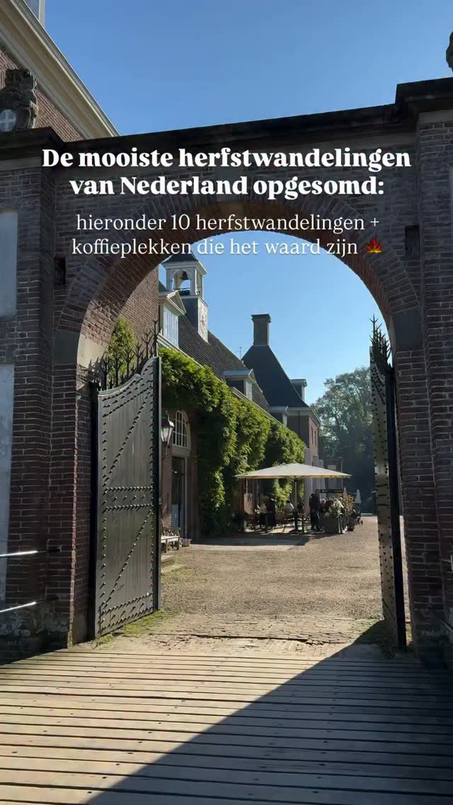 Netherlands Autumn Walks and Coffee Spots