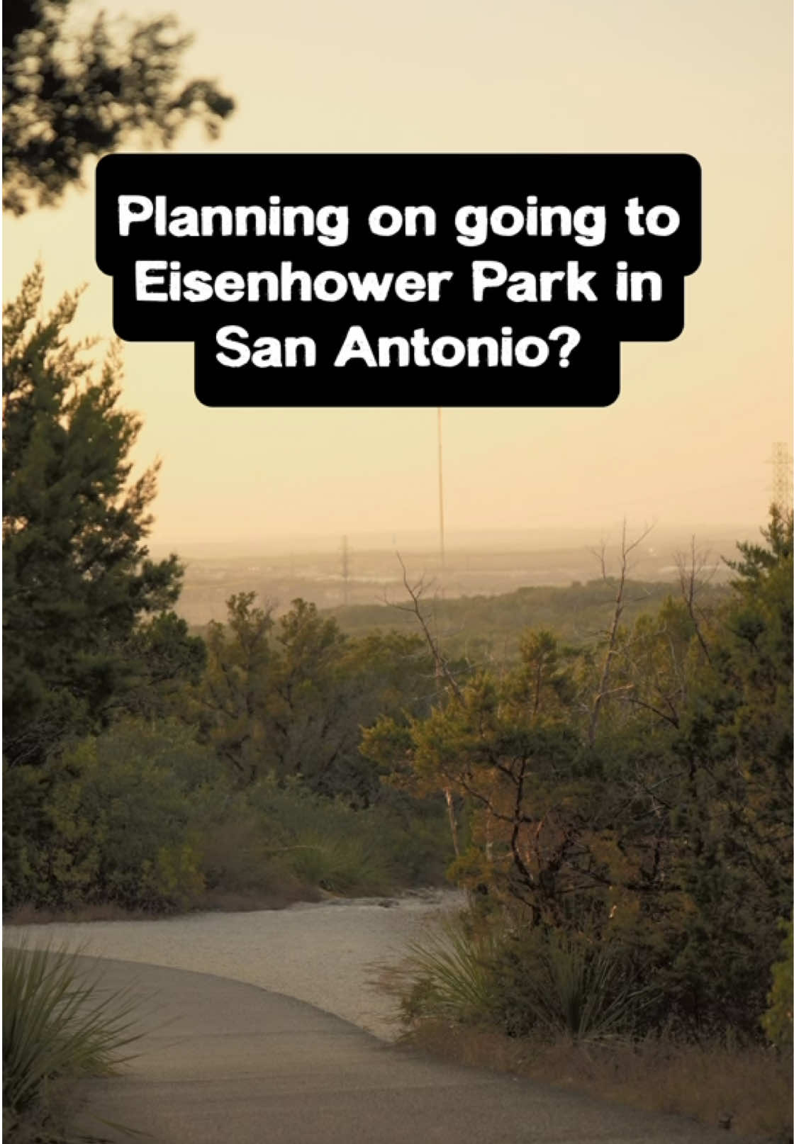 San Antonio Parks Offer Shaded Trails And Dog-Friendly Fun