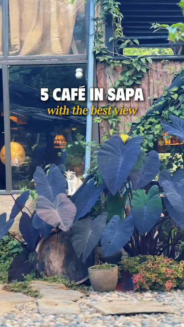Nature-Friendly Cafes With Mountain Views In Sapa