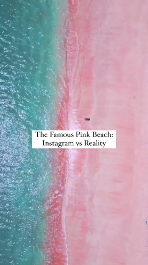 Bali's Pink Beach: Instagram vs. Reality