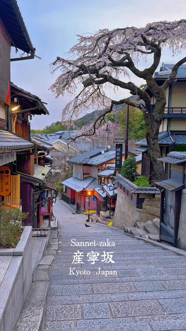Kyoto's Sannenzaka Cherry Blossom Views