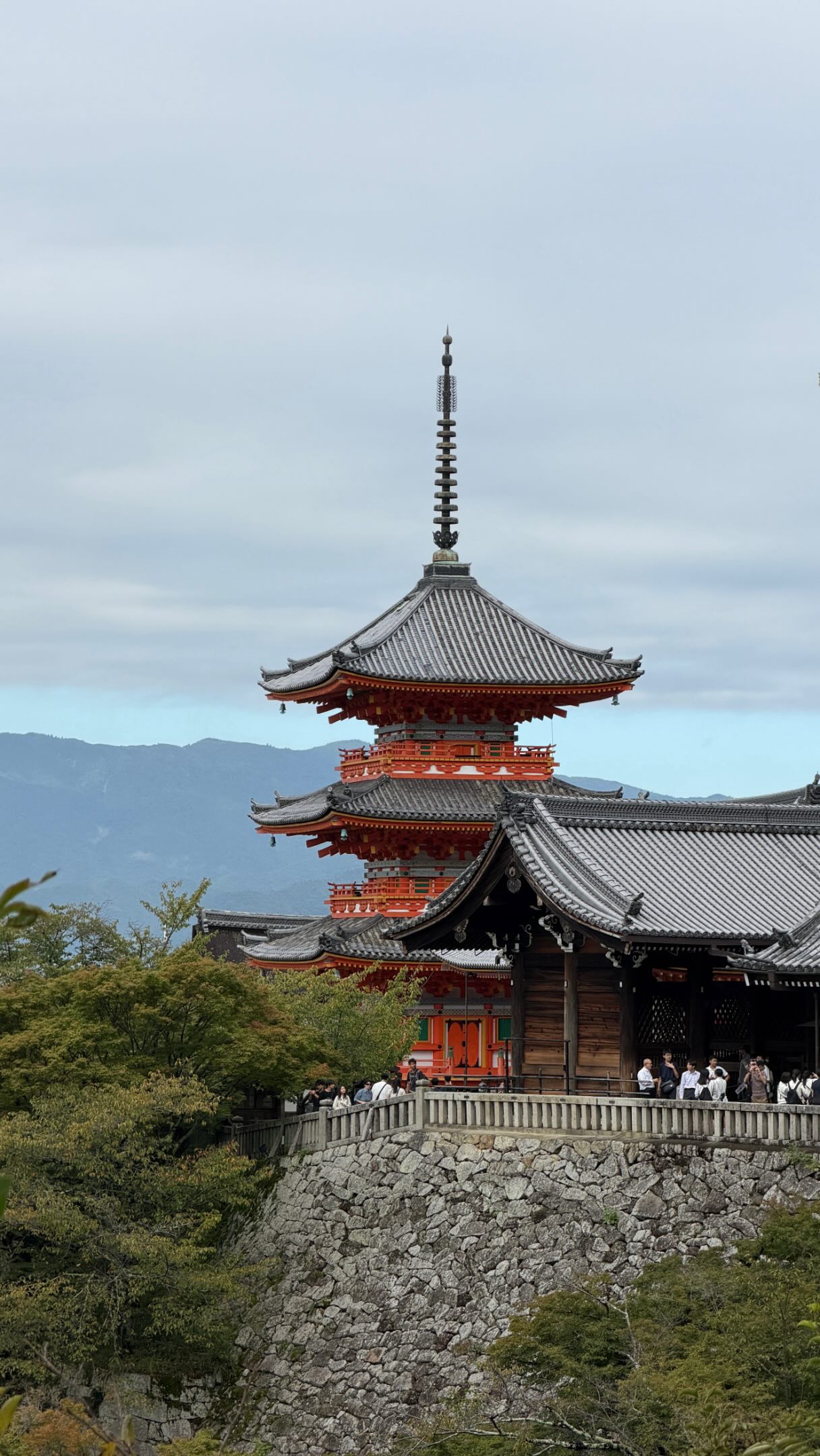 Kyoto Shrine Features Adorable Rabbits
