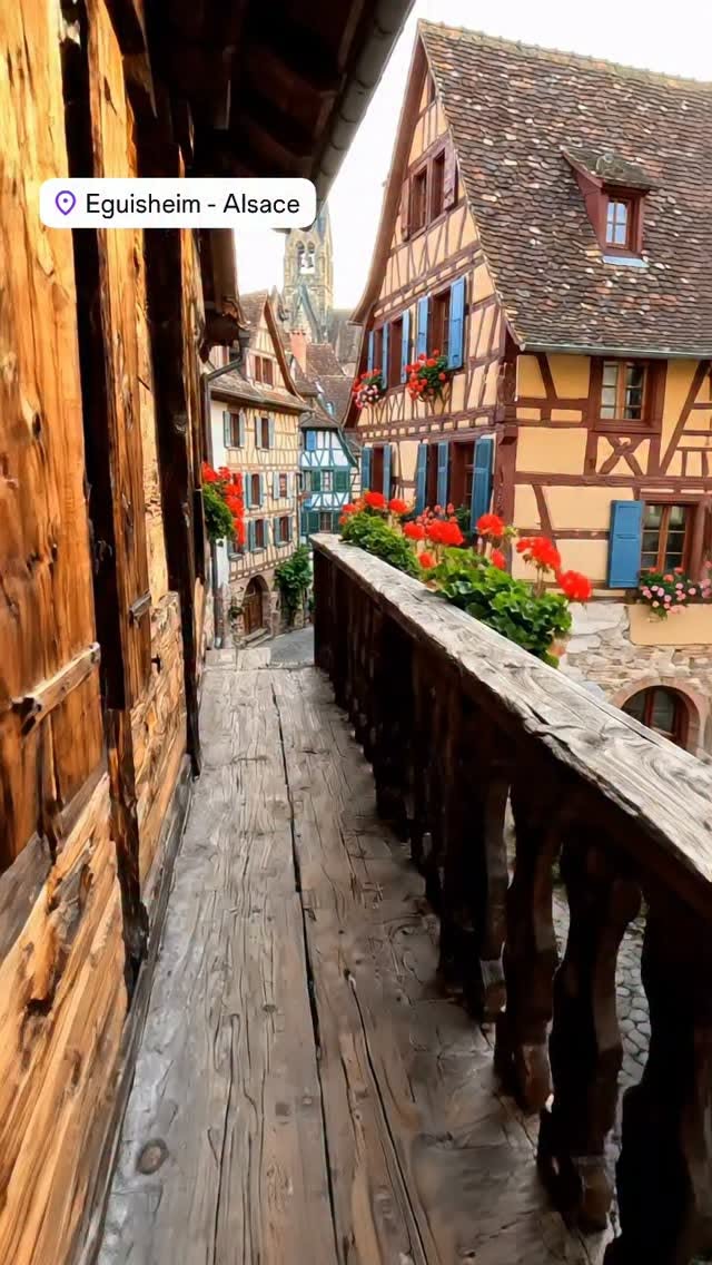 Alsace Village's Charming Concentric Rings