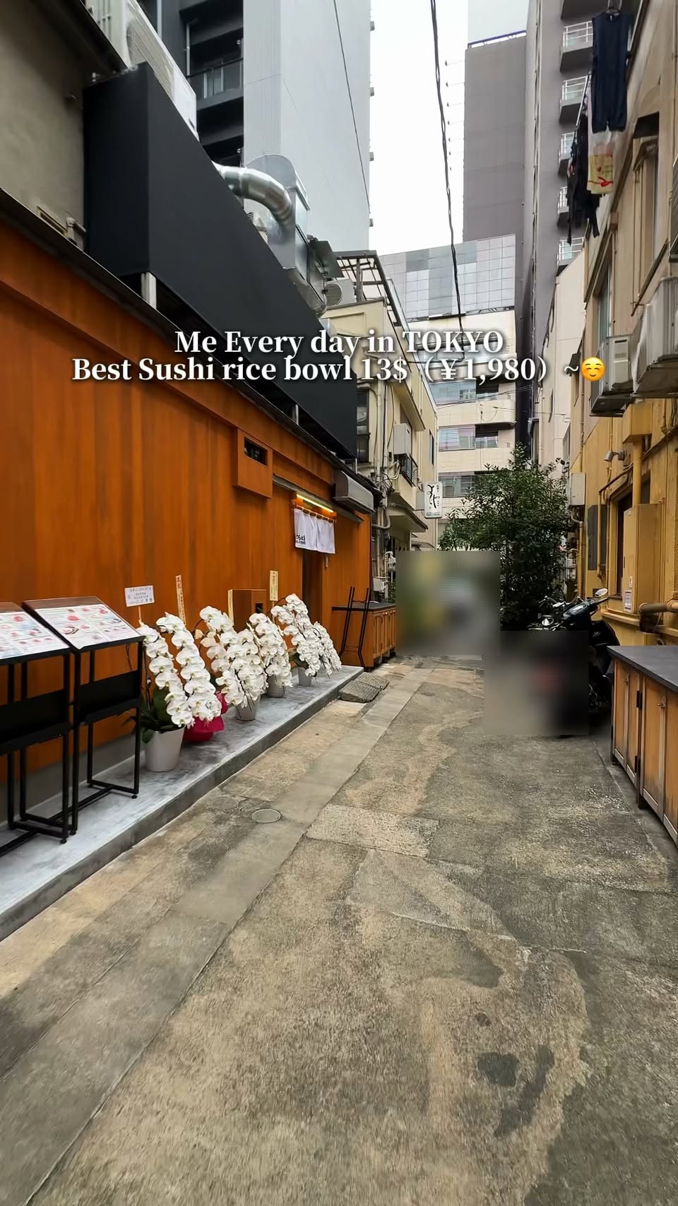 Seafood Bowls Feature Fresh Catches From Toyosu Market
