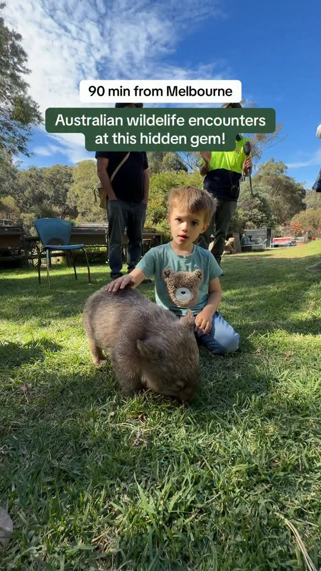Victorian Wildlife Centers and Nearby Towns