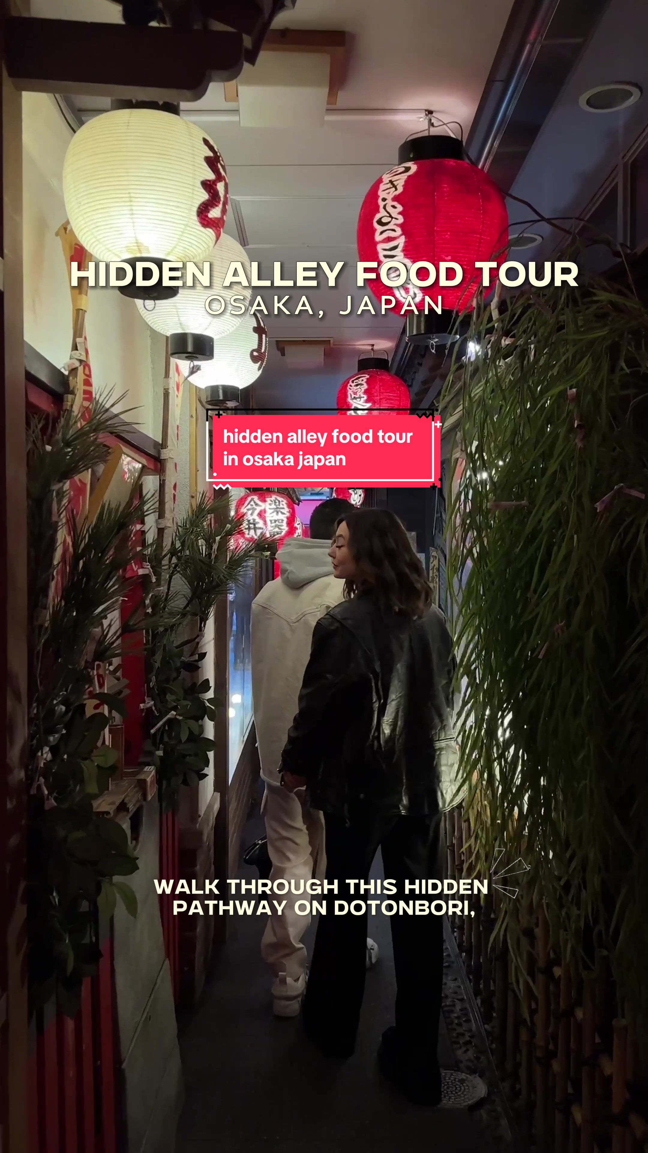 Osaka's Enchanting Hidden Alley Food Tour