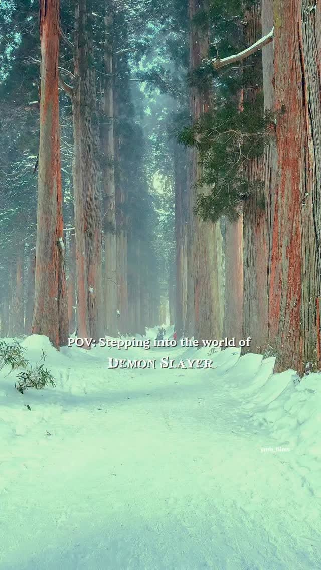 Mystical Snow-Covered Togakushi Okusha Shrine Path
